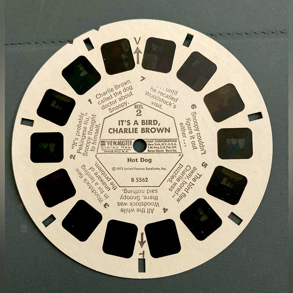 Disney View Master. 
It’s a Bird, CHARLIE  BROWN. Reel Two